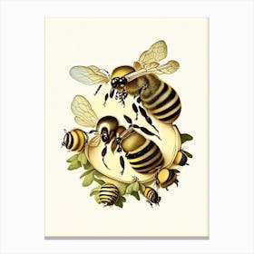 Worker Bees 1 Vintage Canvas Print