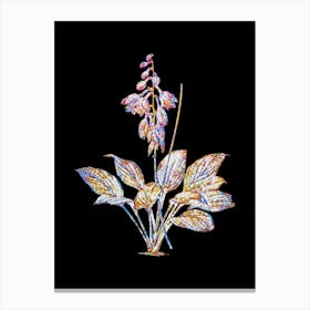 Stained Glass Daylily Mosaic Botanical Illustration on Black n.0024 Canvas Print