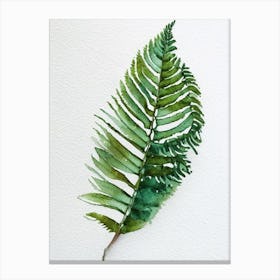 Felt Fern Watercolour Canvas Print