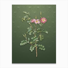Vintage Prickly Sweetbriar Rose Botanical on Lunar Green Pattern n.0386 Canvas Print