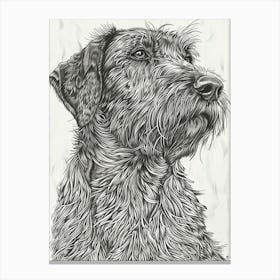 Hairy Dog Line Sketch 4 Canvas Print