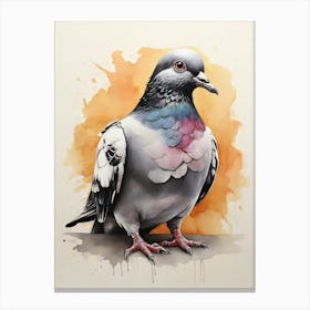 Pigeon 9 Canvas Print