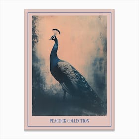 Peacock In The Wild Cyanotype Inspired 2 Poster Canvas Print