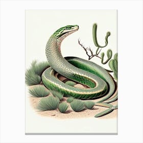 Mojave Green Rattlesnake 1 Vintage Canvas Print