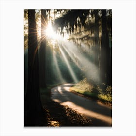 Sunbeams Through The Trees Canvas Print