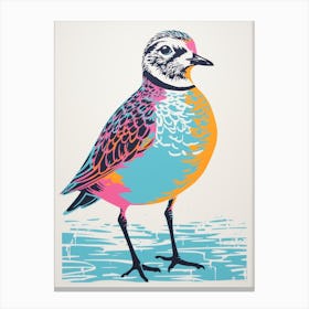 Andy Warhol Style Bird Grey Plover 3 Canvas Print