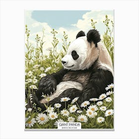 Giant Panda Resting In A Field Of Daisies Poster 2 Canvas Print