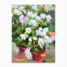 Cyclamen 3 Impressionist Painting Plant Canvas Print