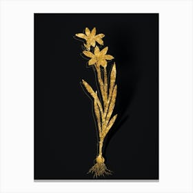 Vintage Ixia Liliago Botanical in Gold on Black n.0460 Canvas Print