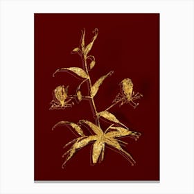 Vintage Flame Lily Botanical in Gold on Red n.0414 Canvas Print