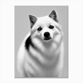 American Eskimo Dog B&W Pencil dog Canvas Print