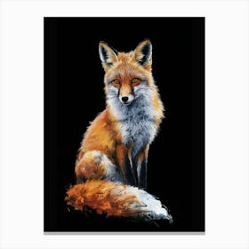 Fox Black background Canvas Print