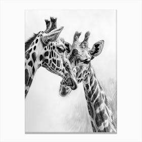 Two Giraffe Together Pencil Drawing 4 Canvas Print