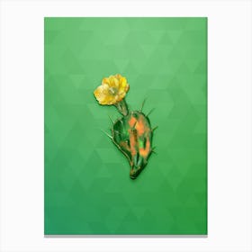 Vintage One Spined Opuntia Flower Botanical Art on Classic Green n.0940 Canvas Print