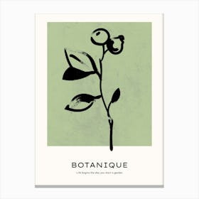 Botanique 1 Canvas Print