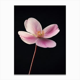 Single Pink Flower 5 Canvas Print