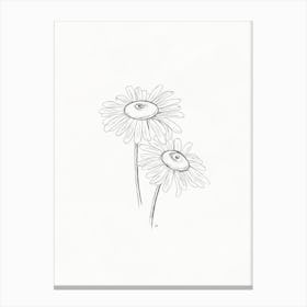 Daisies Pencil Sketch Canvas Print