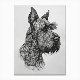 Kerry Blue Terrier Line Sketch 1 Canvas Print