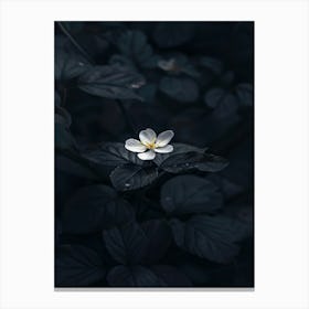 Dark Flower 39 Canvas Print