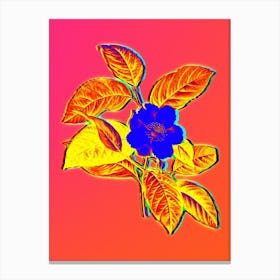 Neon Stewartia Tree Botanical in Hot Pink and Electric Blue n.0330 Canvas Print