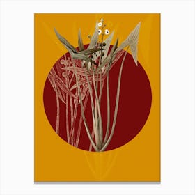 Vintage Botanical Arrowhead on Circle Red on Yellow Canvas Print