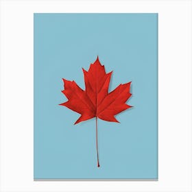 Canadian Maple Leaf Canvas Print