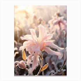 Frosty Botanical Honeysuckle 1 Canvas Print