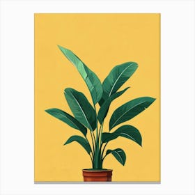 Banana Plant In A Pot Canvas Print