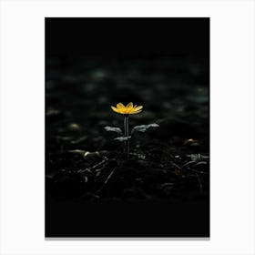 Single Yellow Flower 44 Canvas Print