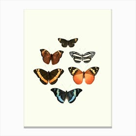 Vintage Butterflies In A Heart Canvas Print