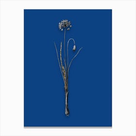 Vintage Autumn Onion Black and White Gold Leaf Floral Art on Midnight Blue n.1161 Canvas Print