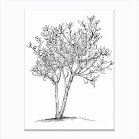 Plum Tree Minimalistic Drawing 1 Canvas Print