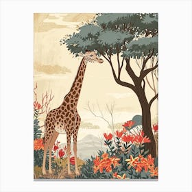 Giraffe Under The Acacia Tree 3 Canvas Print