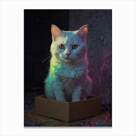 Cat In A Box 5 Canvas Print