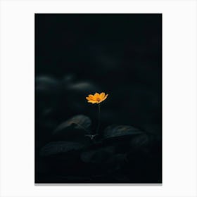 Dark Photography, Dark Photography, Dark Photography, Dark Photography Canvas Print