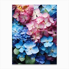 Hydrangeas 11 Canvas Print