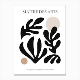 Matière Des Arts Matisse Canvas Print