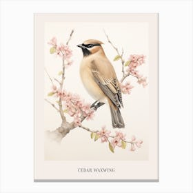 Vintage Bird Drawing Cedar Waxwing 3 Poster Canvas Print