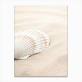 Shell_2110339 Canvas Print