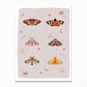 Colorful Moths Canvas Print
