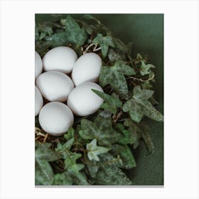 White Eggs In A Nest 2 Canvas Print