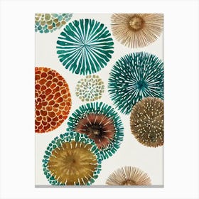 Sea Urchin Roe Vintage Graphic Watercolour Canvas Print