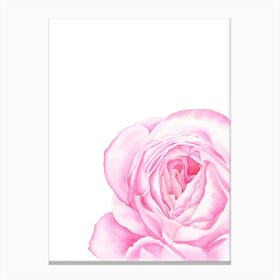 Magenta Rose Canvas Print