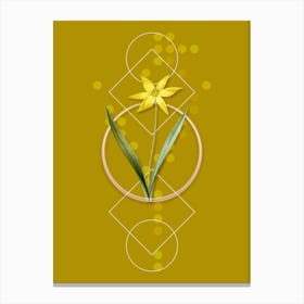 Vintage Tulipa Celsiana Botanical with Geometric Line Motif and Dot Pattern n.0103 Canvas Print