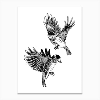Free As A Bird Canvas Print