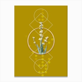 Vintage Pale Yellow Eyed Grass Botanical with Geometric Line Motif and Dot Pattern n.0318 Canvas Print