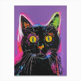 Cat On Purple Canvas Print