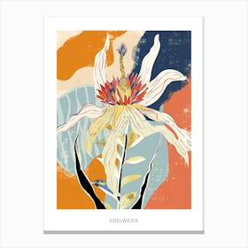 Colourful Flower Illustration Poster Edelweiss 4 Canvas Print