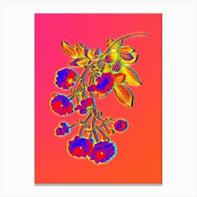 Neon Pink Rambler Roses Botanical in Hot Pink and Electric Blue n.0359 Canvas Print