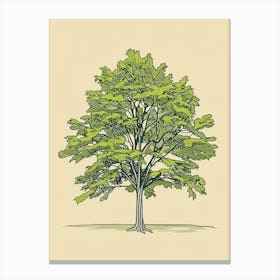 Chestnut Tree Minimalistic Drawing 4 Canvas Print